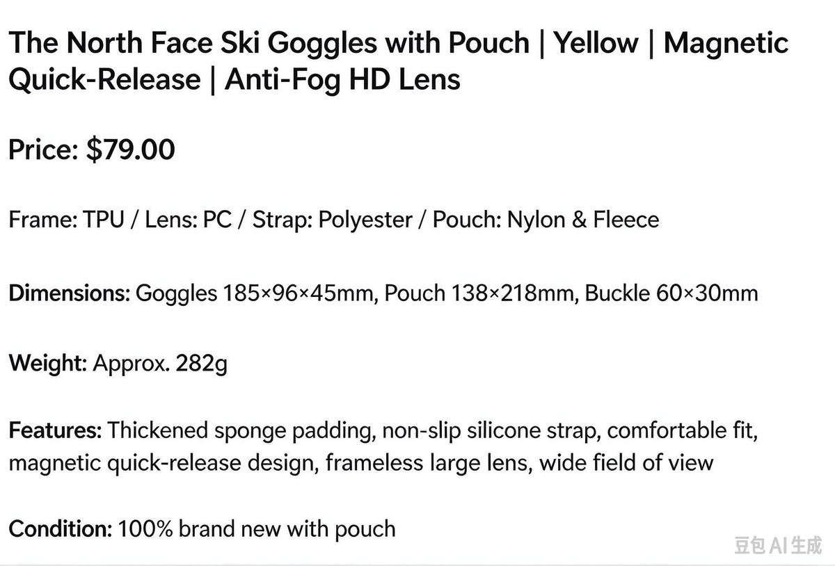 The North Face Ski Goggles with Pouch