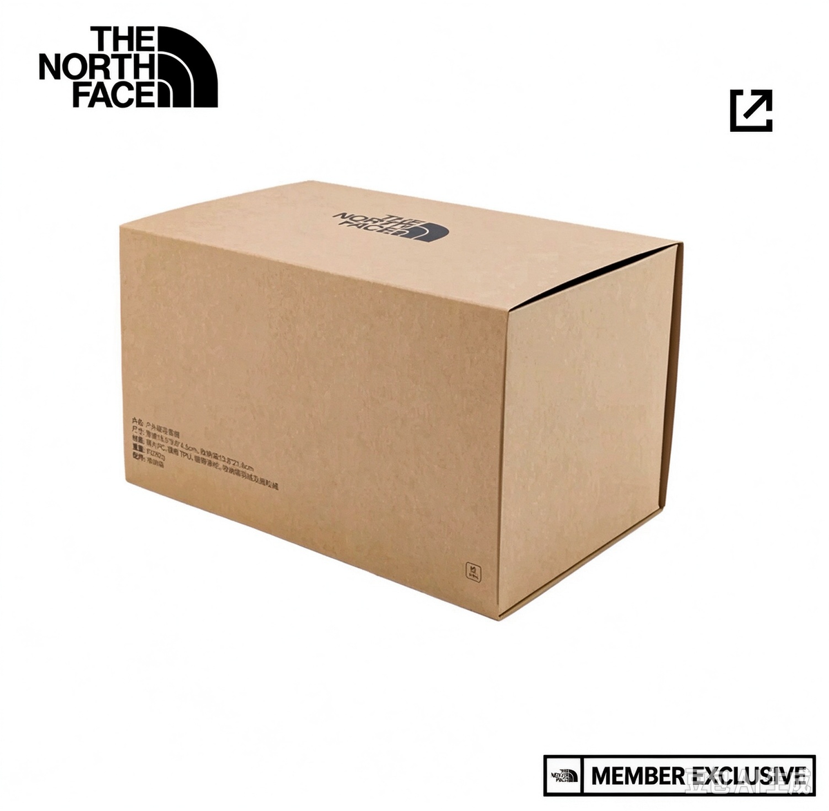 The North Face Ski Goggles with Pouch